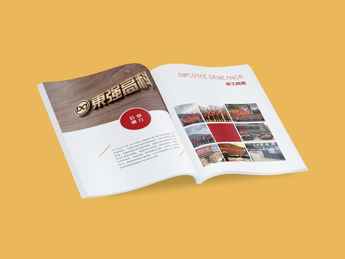 東強高科公司企業(yè)畫冊設(shè)計方案平面效果圖(圖2)